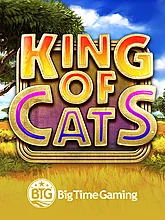 Big Time Gaming Slot
